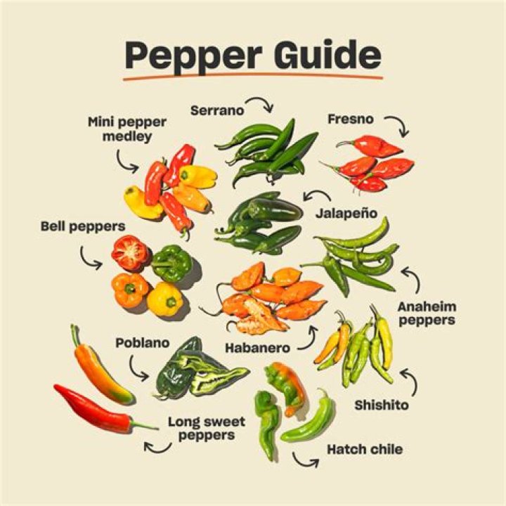 How big do ancho peppers get