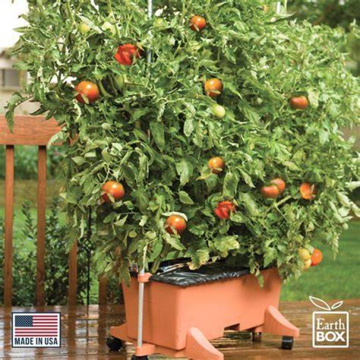 How big should a grow box be