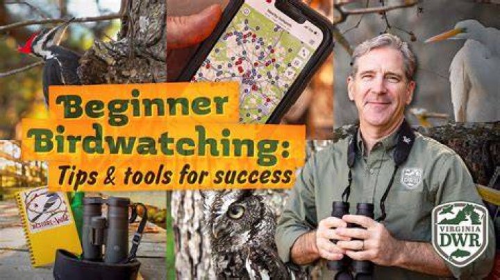 How common is bird watching