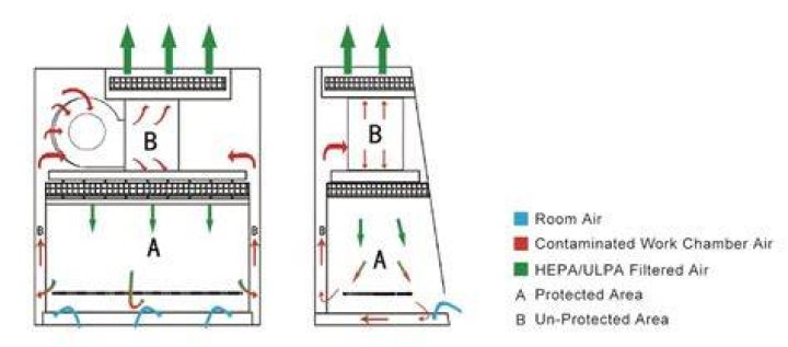 How do biosafety hoods work