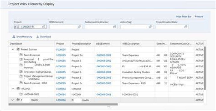 How do I create a WBS in SAP