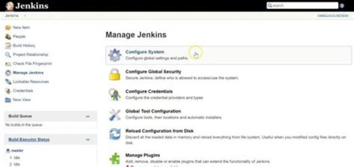How do I get Jenkins environment variables