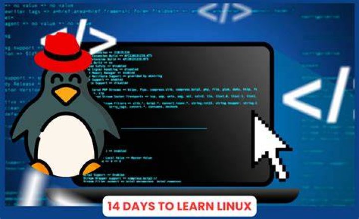 How do I learn Linux scripts