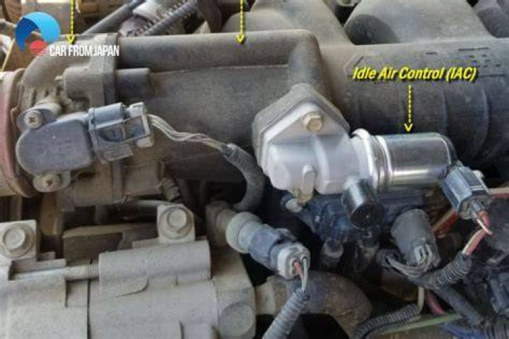 How do I reset my IAC sensor