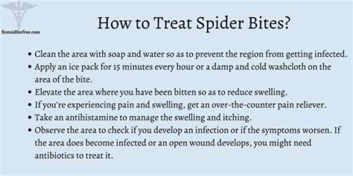 How do I treat a spider bite