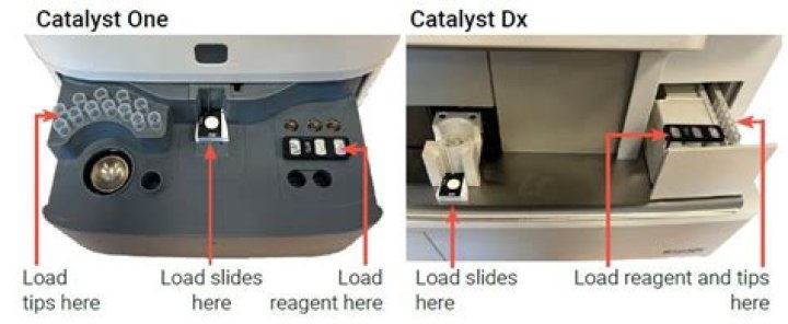 How do I use idexx catalyst