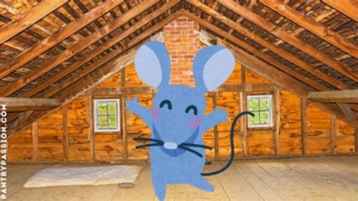 How do mice survive in attic