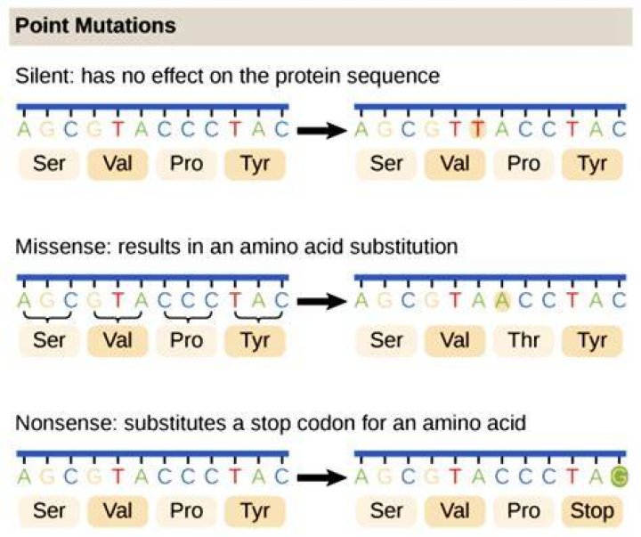How do mutations cause aging