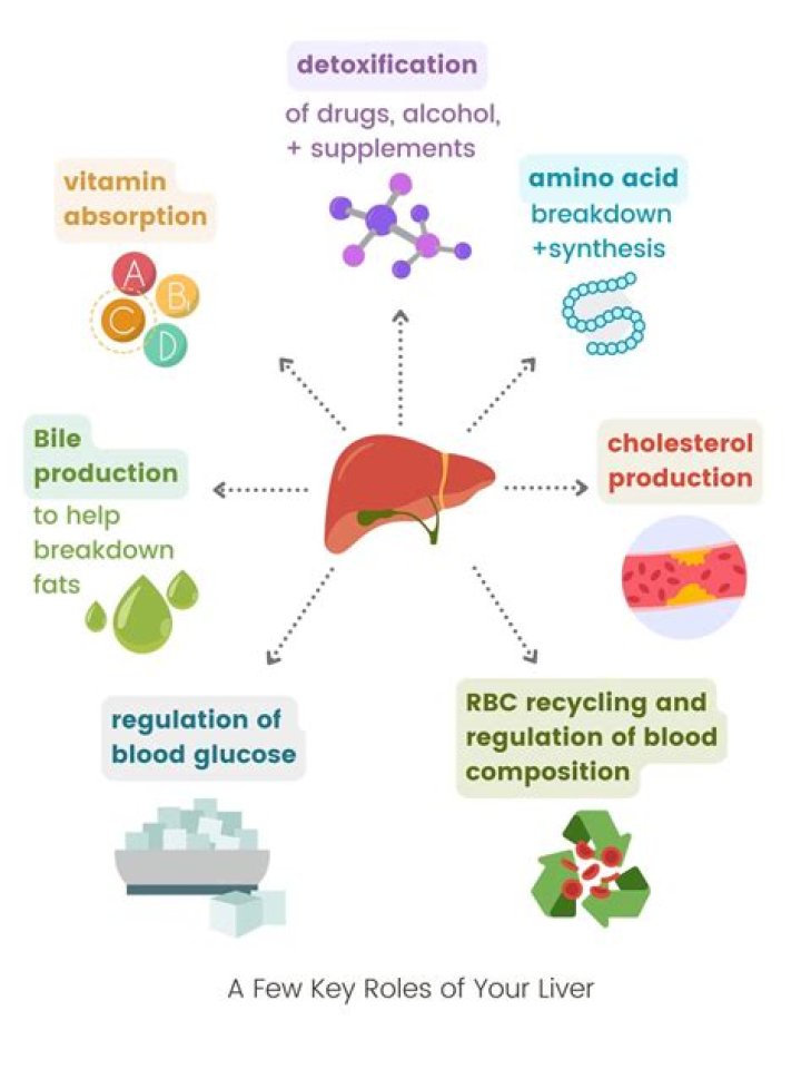 How do they drain your liver