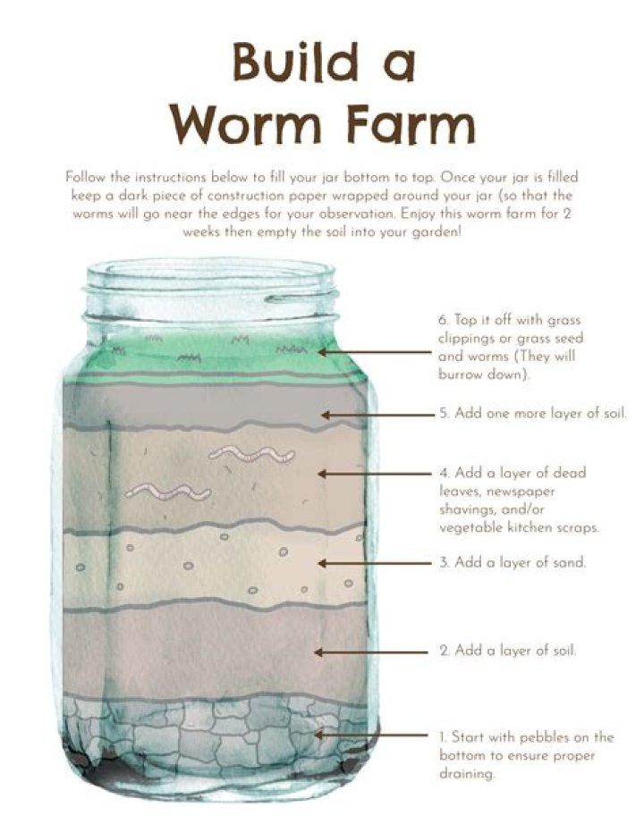 How do you build a worm farm