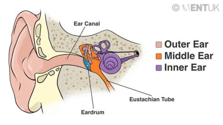 How do you check middle ear