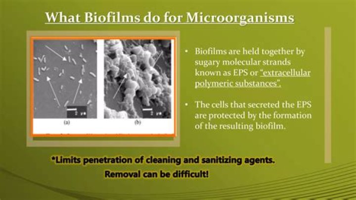 How do you dissolve biofilms