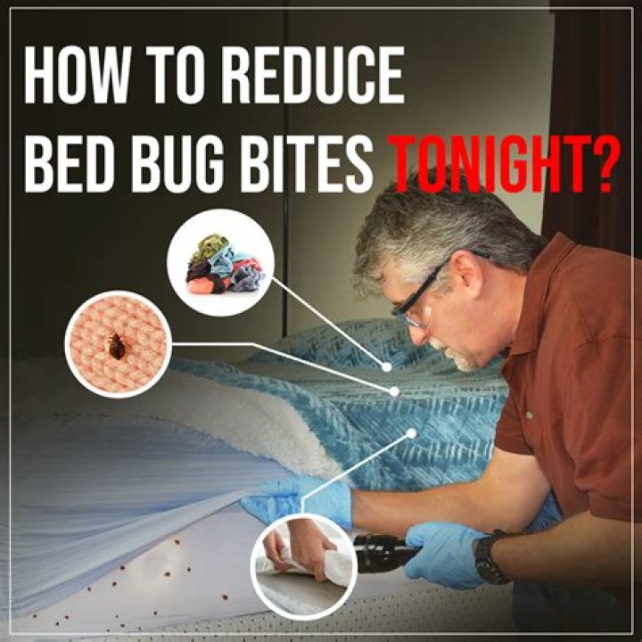 How do you install bed clips