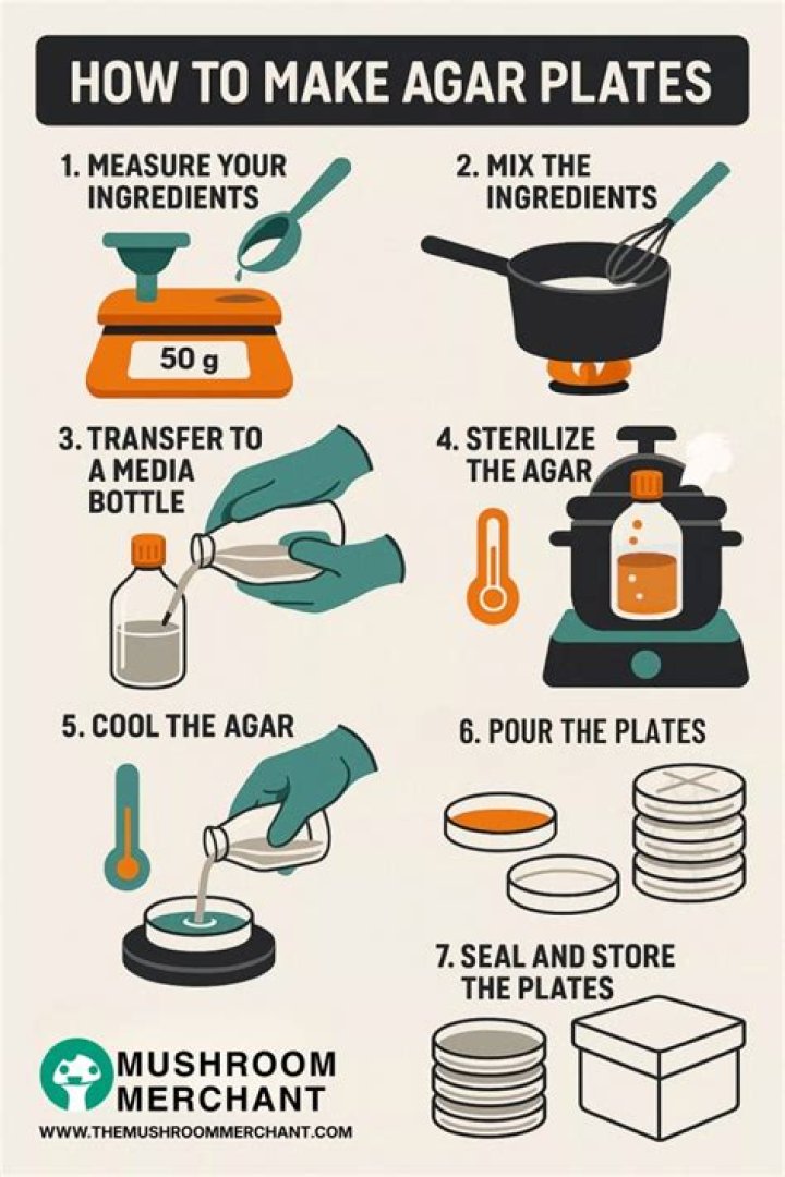 How do you make agar plates