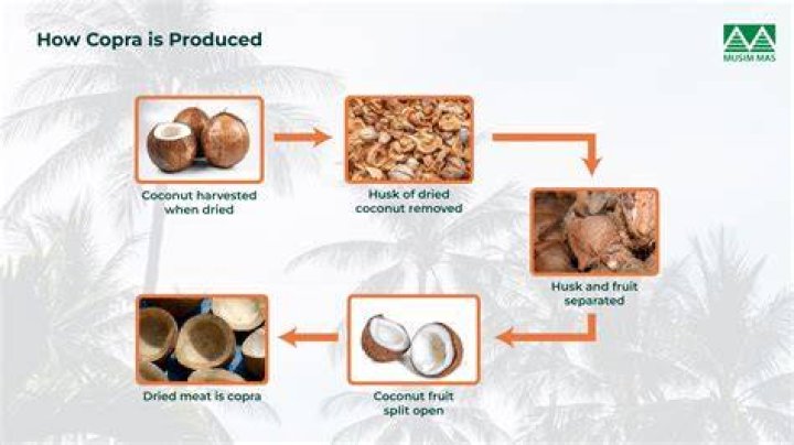 How do you make coconut coir
