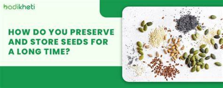 How do you prepare seeds for storage