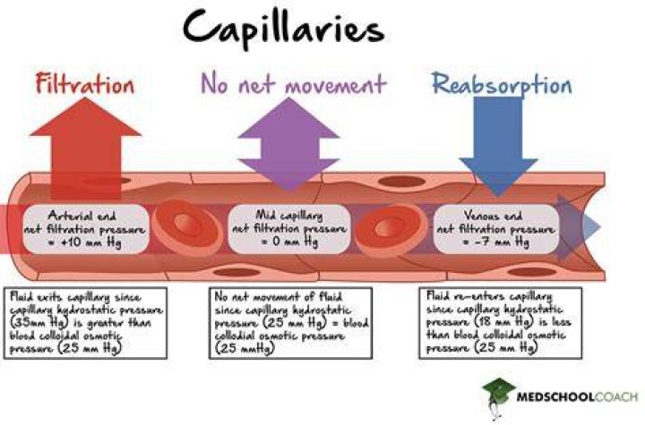 How do you prevent broken capillaries
