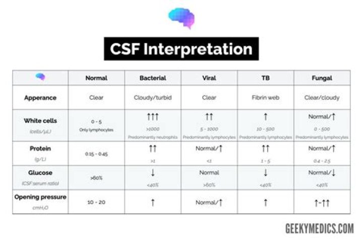 How do you read CSF results