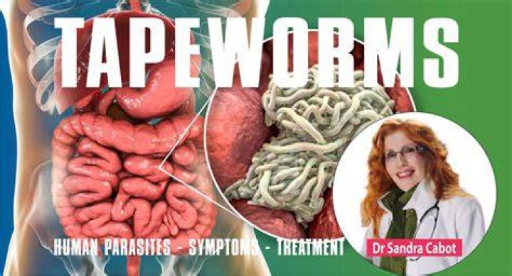 How do you starve a tapeworm