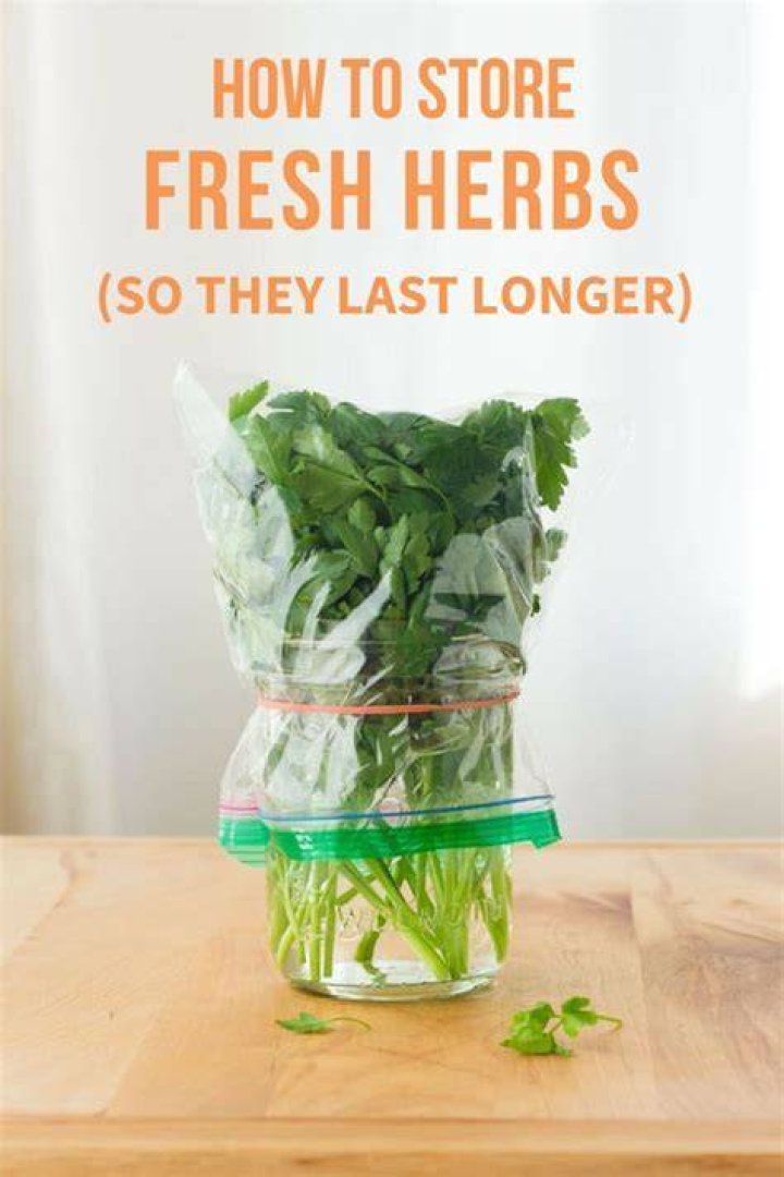 How do you store fresh herbs