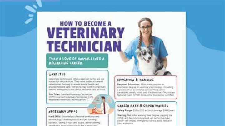 How does a vet tech use math