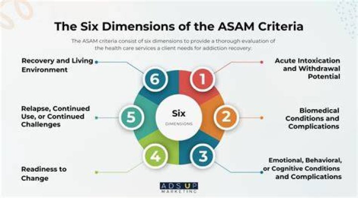 How does ASAM criteria work
