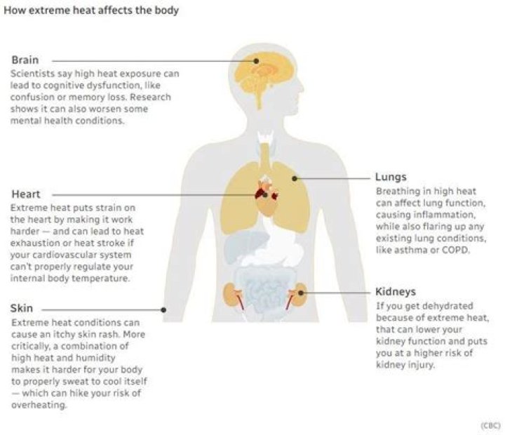 How does PTU affect the body