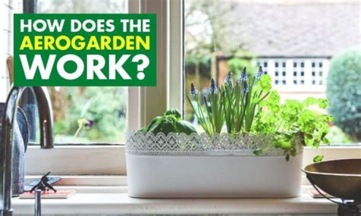How does the AeroGarden work