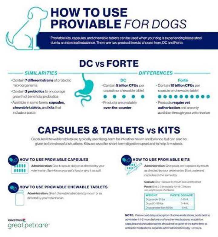 How fast does Proviable work