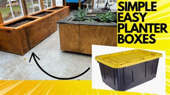 How full should a planter be