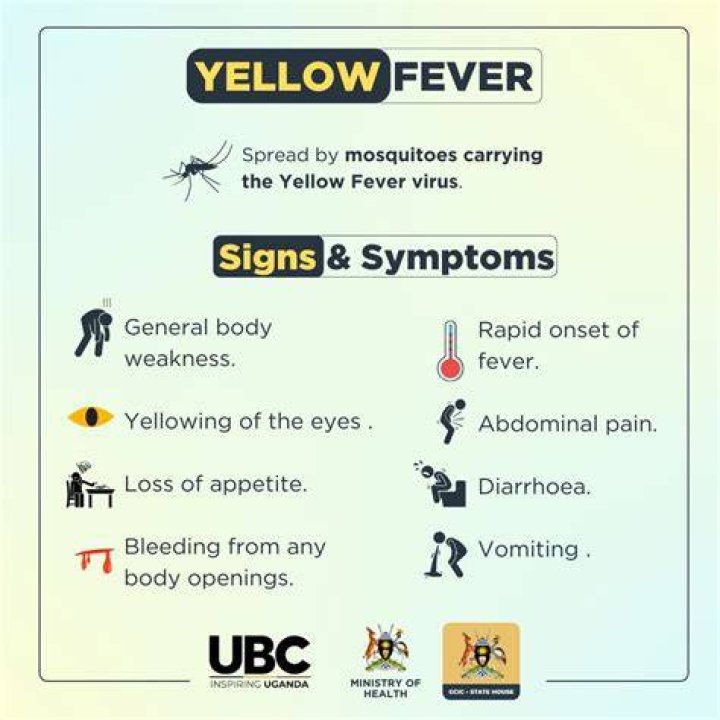 How is yellow fever defined