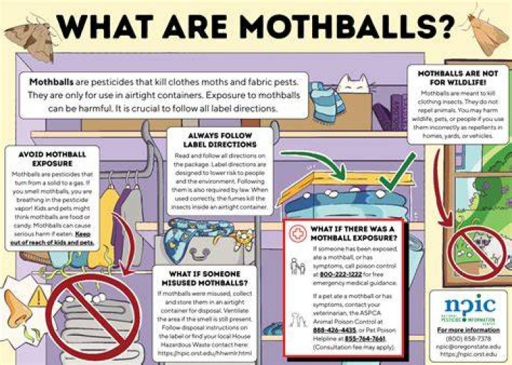 How long are mothballs toxic