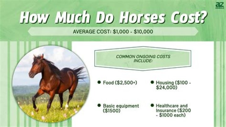 How much do TVs usually cost