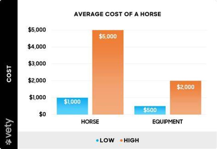 How much does Billshark cost