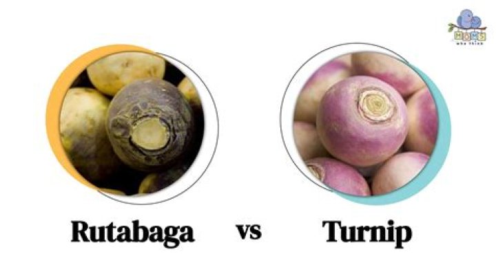 How much does rutabaga cost