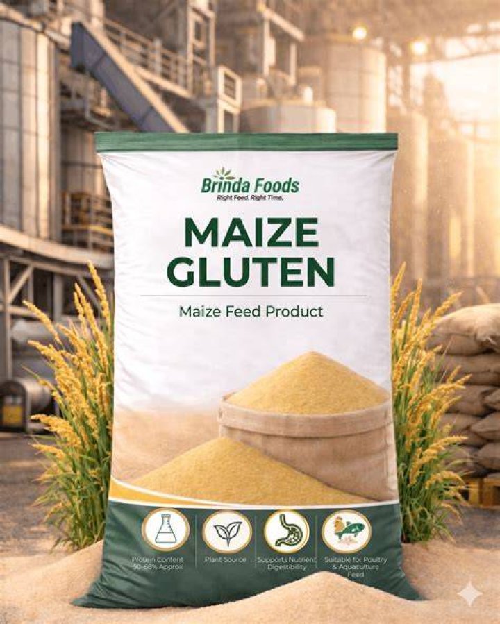 How much gluten is in maize