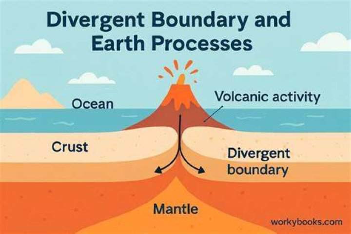 How much is divergent worth