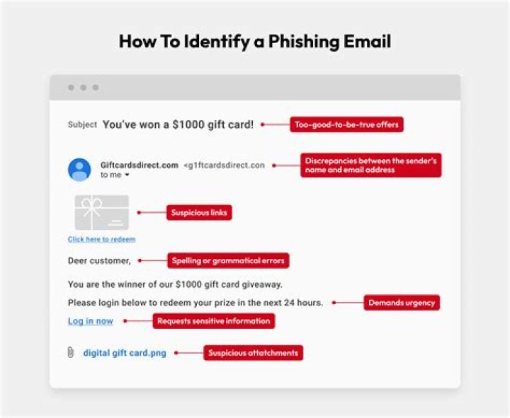 How much is Phish net worth