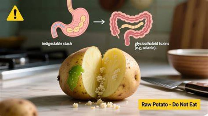 How much raw potato is toxic