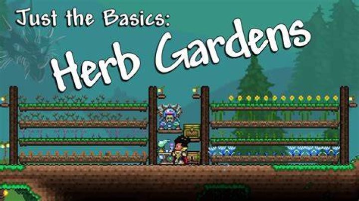 How much room do herbs need