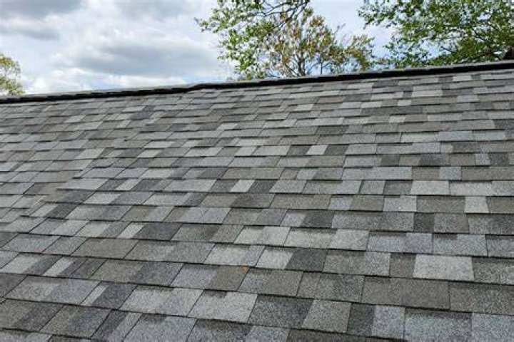 How old are organic shingles