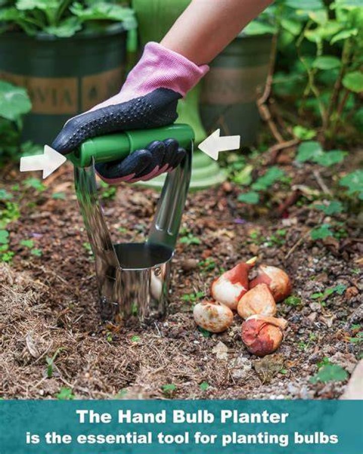 Is a bulb planter necessary