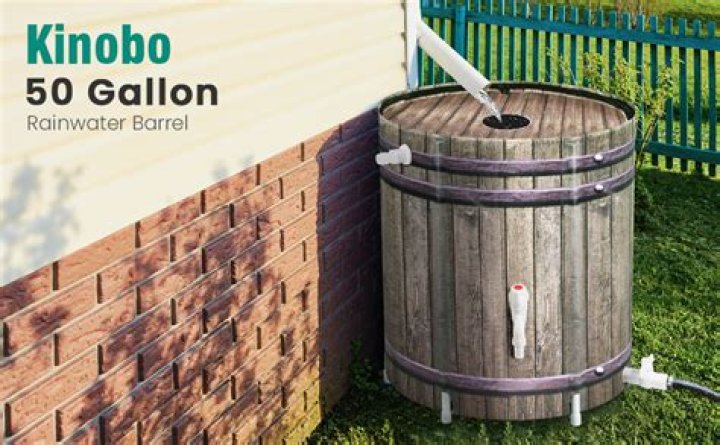 Is a rain barrel a good idea