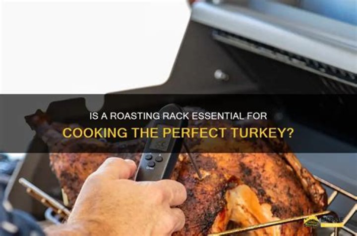 Is a roasting rack necessary