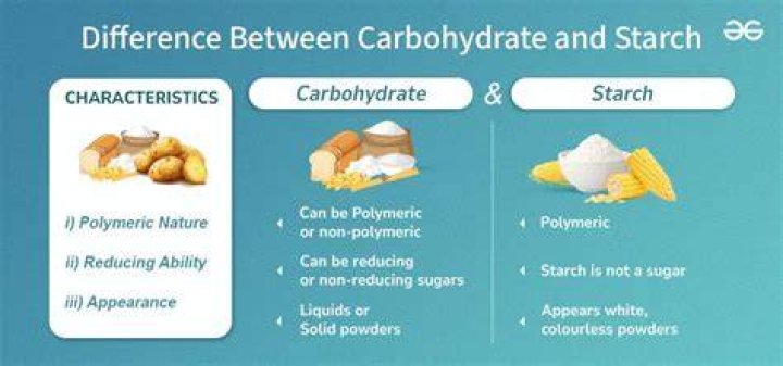 Is a starches a carbohydrate