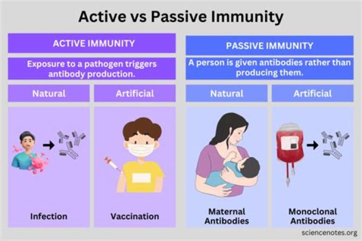Is active immunity specific