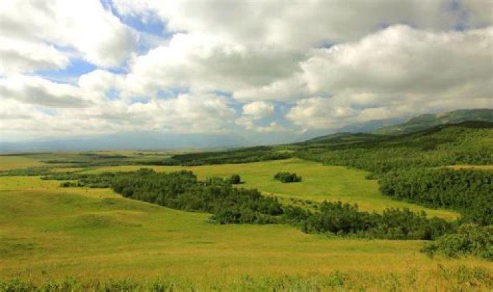 Is Alberta in the grasslands