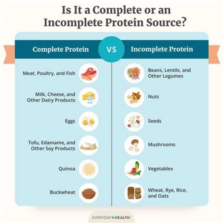 Is an egg a complete protein