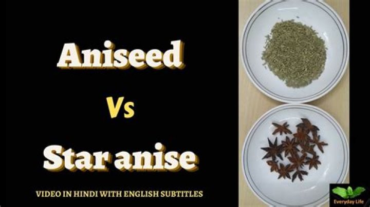 Is aniseed the same as anise