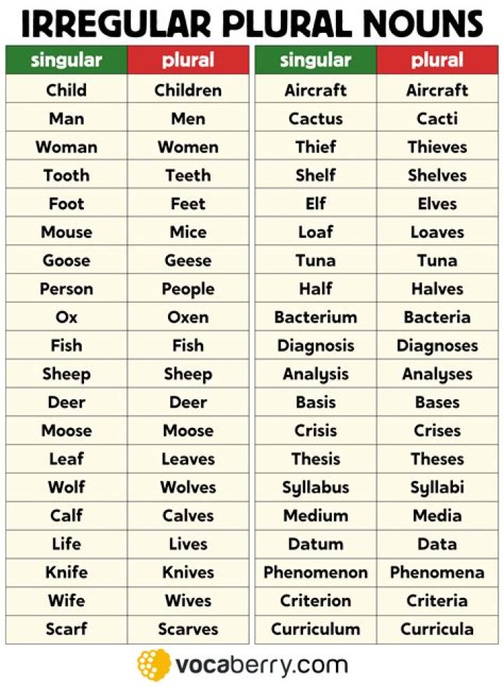 Is Basis singular and plural